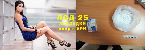 mdpv Каменногорск