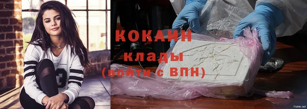 mdpv Каменногорск