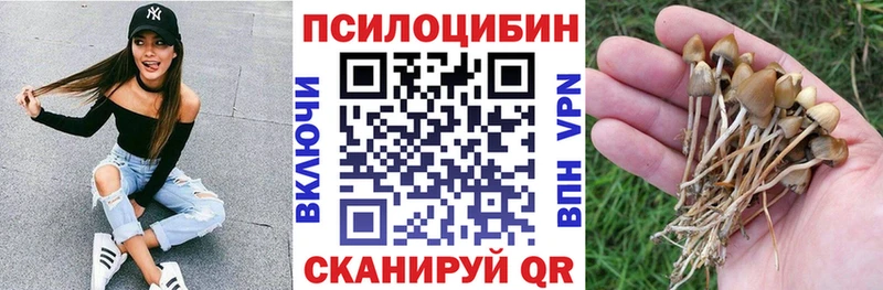 Купить где  Жуковка  Псилоцибиновые грибы ЛСД 